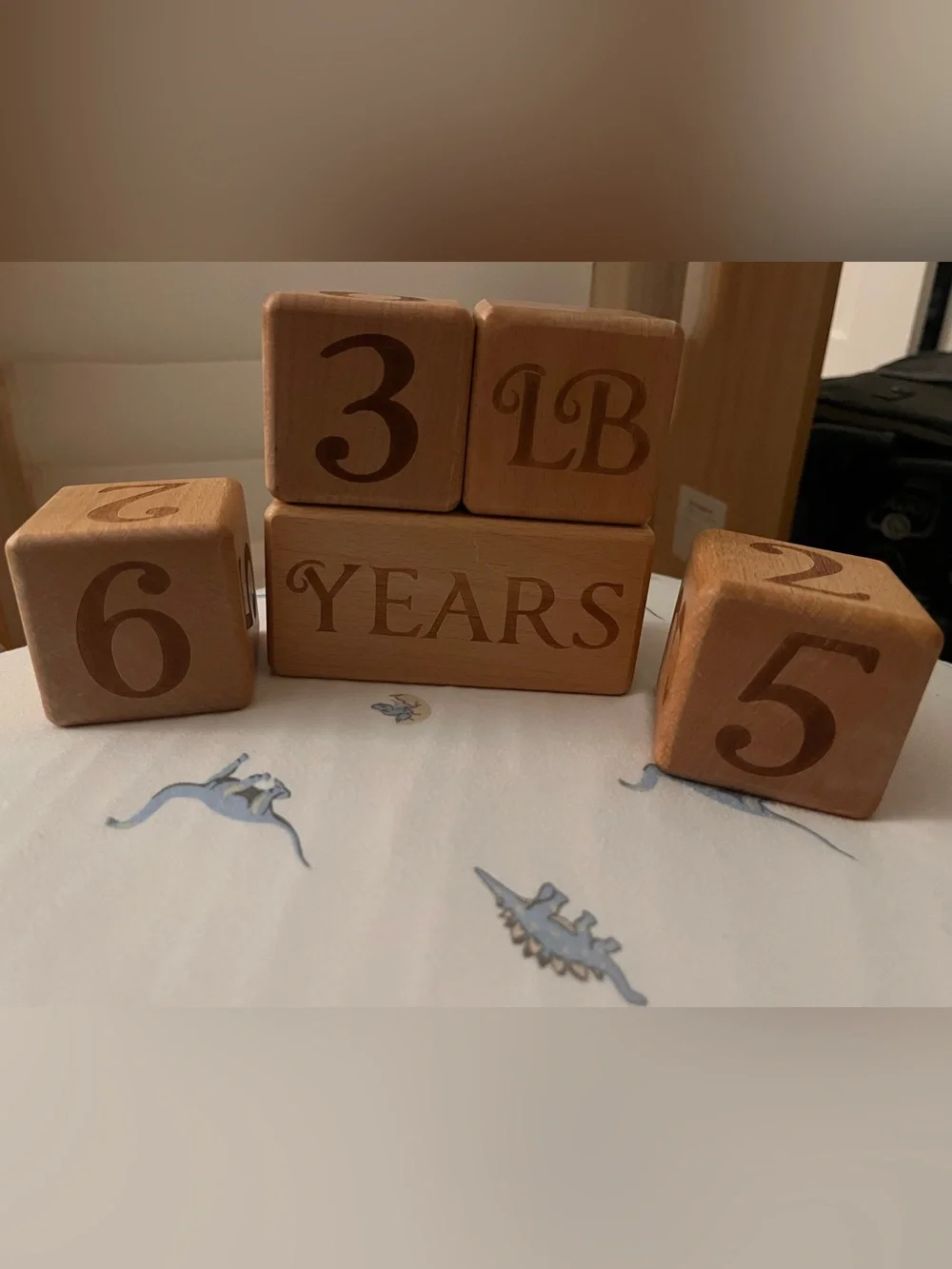 Closet Clean Out – Wooden Baby Milestone Age & Weight Photo Blocks – 5 Piece Set